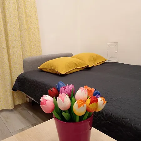 Apartman Margherita Póla